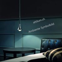 Rain schwarz RAL 9005- bronze 2700K