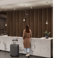 PUK! Pro Motion 80 - 1fg - ni/matt