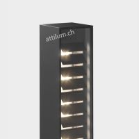 lin 70 spike schwarz