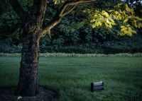 slat spike - cool braun