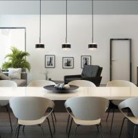 PUK! Pro Choice long ONE 80 - 3fg. - chrom matt