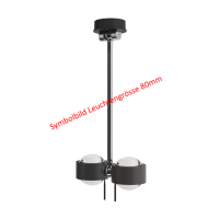 PUK! Pro 80 Wing ll 30cm - anthrazit matt