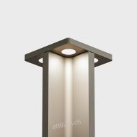 mir X  Poller 30 - cool braun