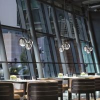 Random Golden Sage - sz 2700K (Variante)