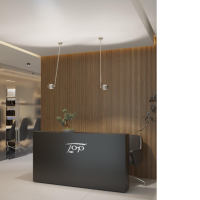 PUK! Pro 120 Wing l 30cm - weiss matt