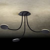 Keine Abbildung zugeordnet