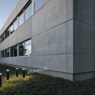 mir R  Poller 70 - cool braun