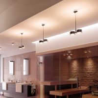 PUK! Pro 120 Wing ll 30cm - ni/matt