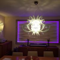 Lillibet SUS 66 schwarz