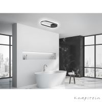 Deckenleuchte RIKE - schwarz matt