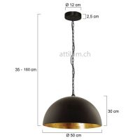 Pendelleuchte SEMICIRKEL 1fg. schwarz-/gold